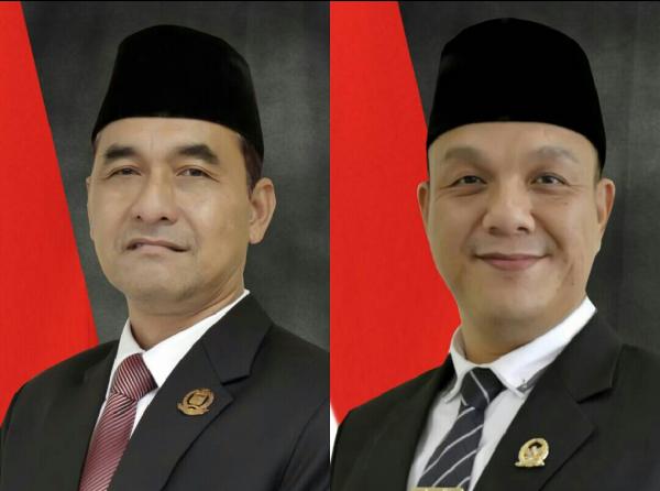 dewan-minta-dlhk-palembang-cek-lapangan